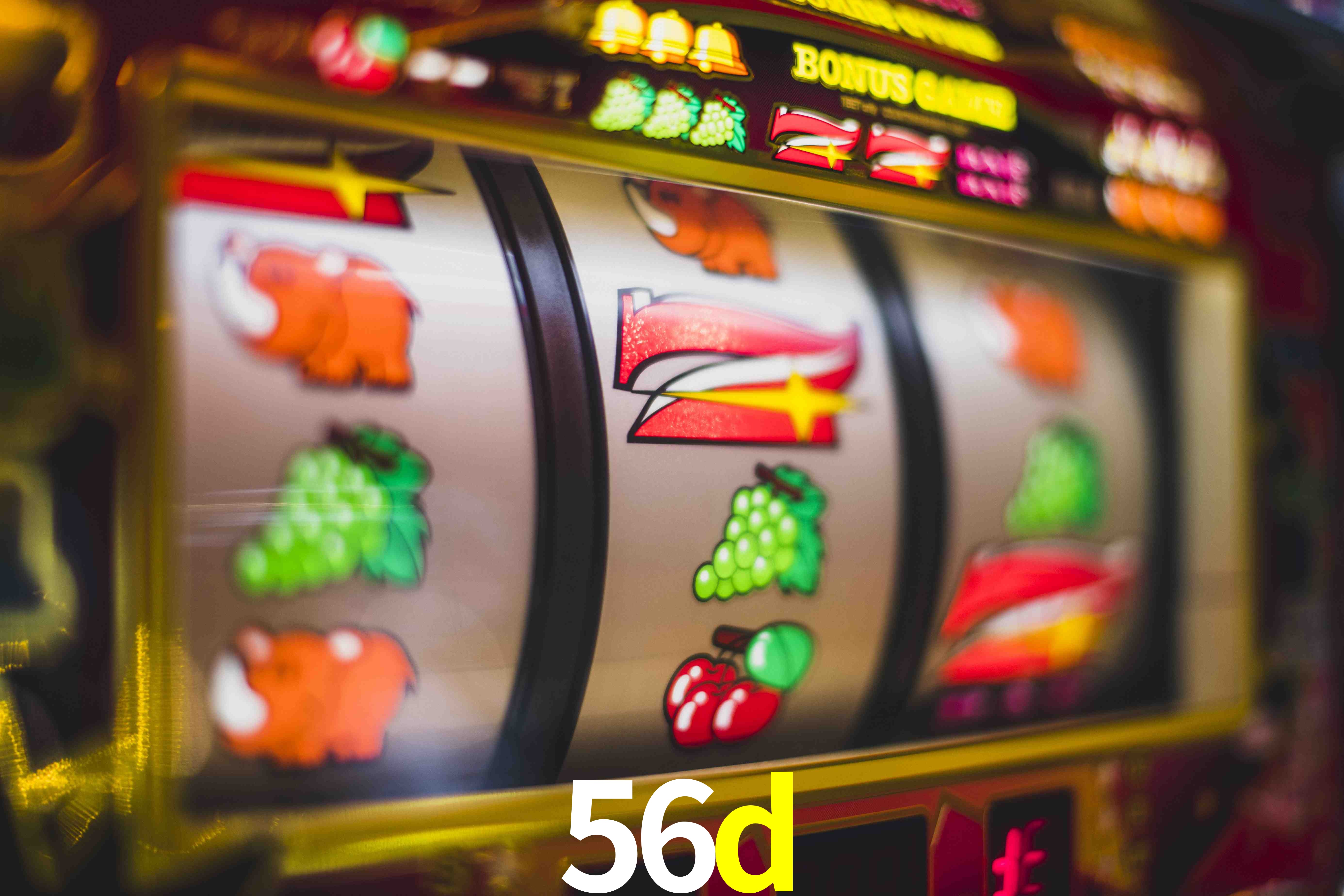 Basketball Betting 56d